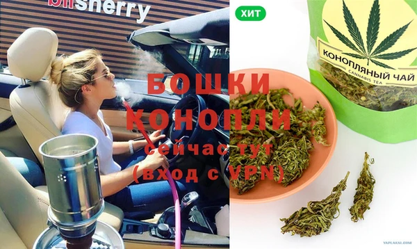 стаф Сосновка