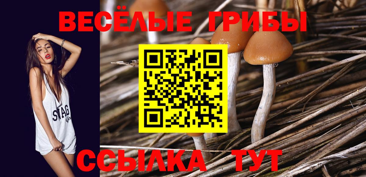 Галлюциногенные грибы GOLDEN TEACHER  Вход с VPN  Балтийск  Псилоцибиновые грибы Cubensis 